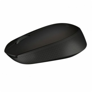 RATON LOGITECH B170